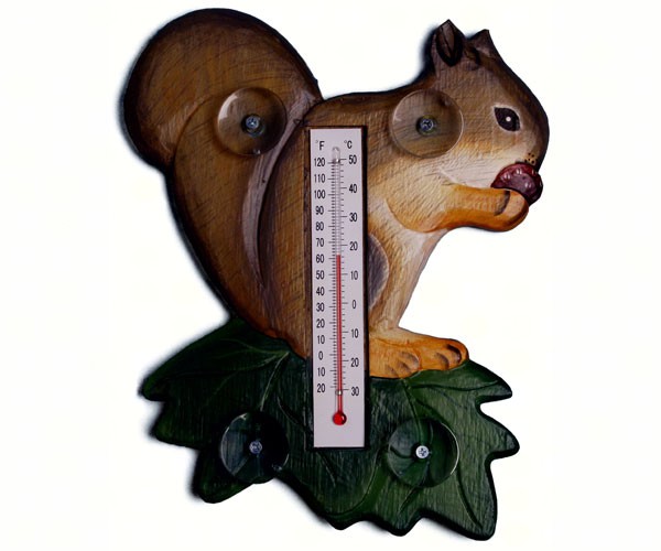 Thermometer Squirrel On Leaf