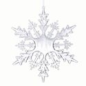 Ornament Frosted Snowflake