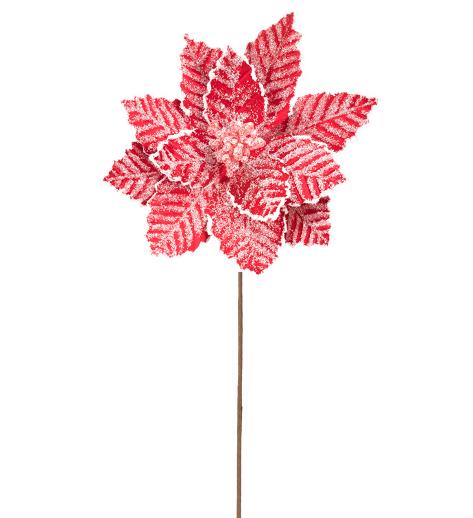 Product Father Christmas Seguin, TX