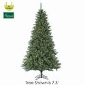 Tree Green 10 Foot Lighted