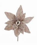 Poinsettia Frosted Platinum