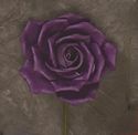 Rose Foam Purple