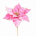 Poinsettia Hot Pink Velvet