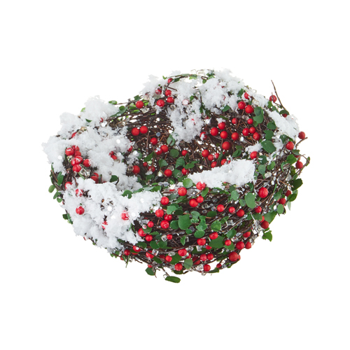 Snowy Nest With Berries