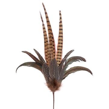 Spray Pheasant Feather