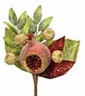 Pomegranate Spray Beaded