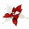 Poinsettia Velvet Red White Glittered