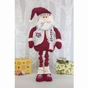 Texas A&M Mascot Santa