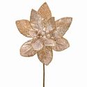 Poinsettia Pick Pearl Champagne