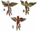 Ornament Bird Clip Sequin Multi Color