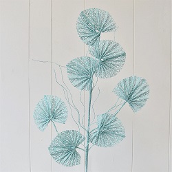 Spray Coral Fan Leaf Aqua