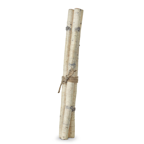 Birch Stick Bundle