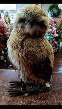 Owl Feather Oversized