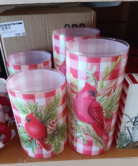 Glass Container S/2 Cardinal Check