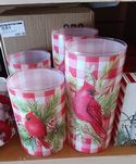 Glass Container S/2 Cardinal Check