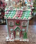 Gingerbread House Pastel Color