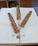 Spray Leaf Rhinestone Red