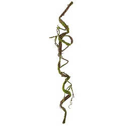 Garland Moss Vine Look
