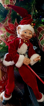 Santa Elf In Costume