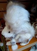 Squirrel White Tail Up