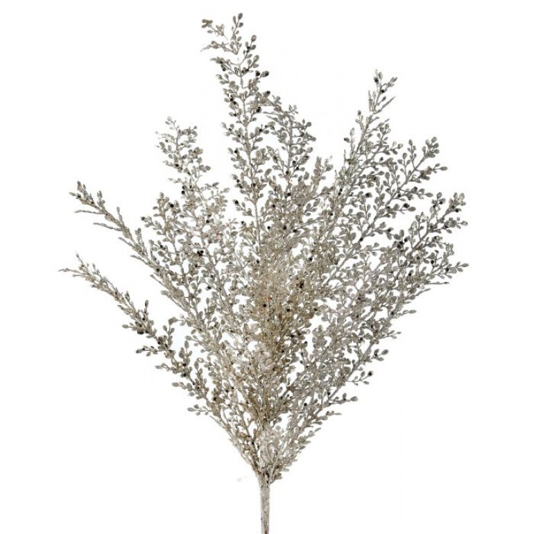 Spray Bush Artemesia