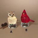 Water Globe Owl & Cardinal