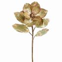 Magnolia Spray Antique