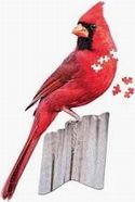 Puzzle I Am A Cardinal