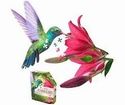 Puzzle I Am A  Hummingbird